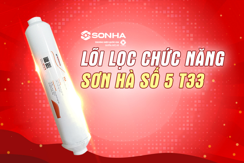 Lõi lọc chức năng Sơn Hà số 5 T33