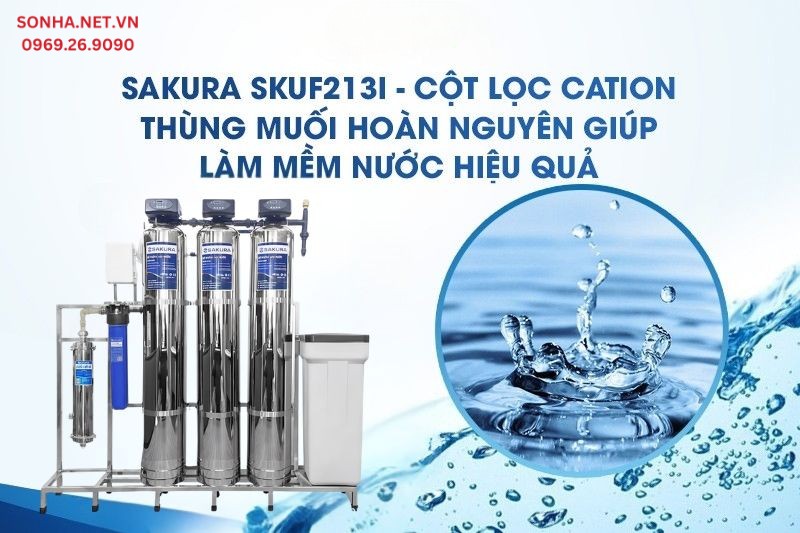 Cột lọc Cation kết hợp với muối hoàn nguyên làm mềm nước hiệu quả