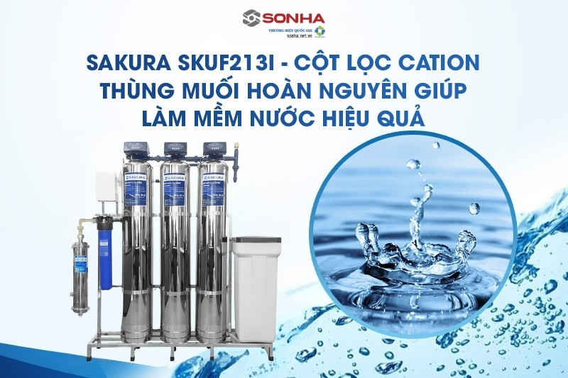 Cột lọc Cation kết hợp với muối hoàn nguyên làm mềm nước hiệu quả
