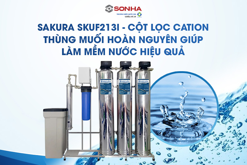 Cột lọc Cation kết hợp với muối hoàn nguyên làm mềm nước hiệu quả