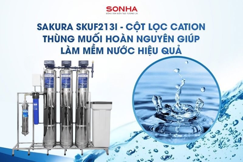 Cột lọc Cation kết hợp với muối ho&agrave;n nguy&ecirc;n l&agrave;m mềm nước hiệu quả