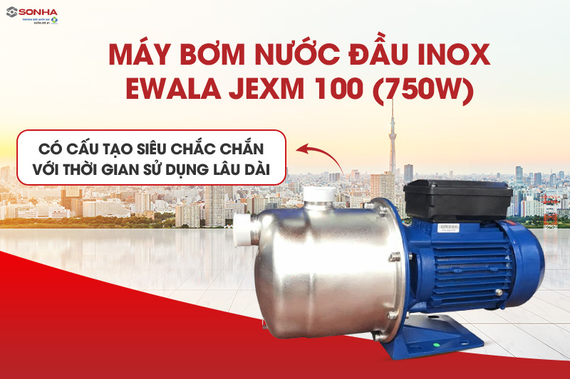 Cấu tạo máy bơm nước con lợn Ewala JEXM 100 (750W)