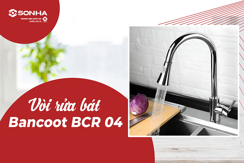 Đặt mua chậu rửa inox Nanosi N-8245L và vòi Bancoot BCR04