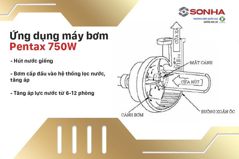 Ứng dụng của máy bơm 370W Pentax CM 50