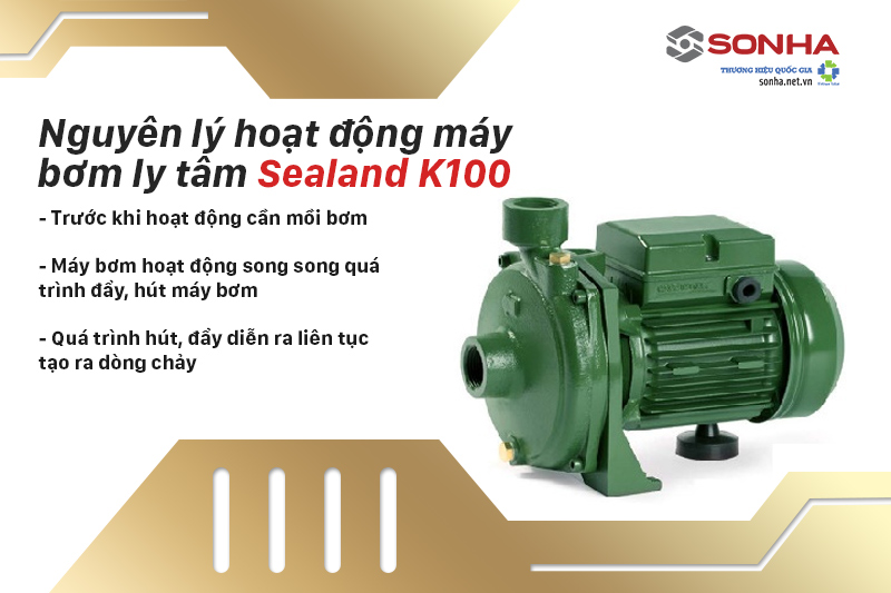 Nguyên lý hoạt động máy bơm ly tâm Sealand K100