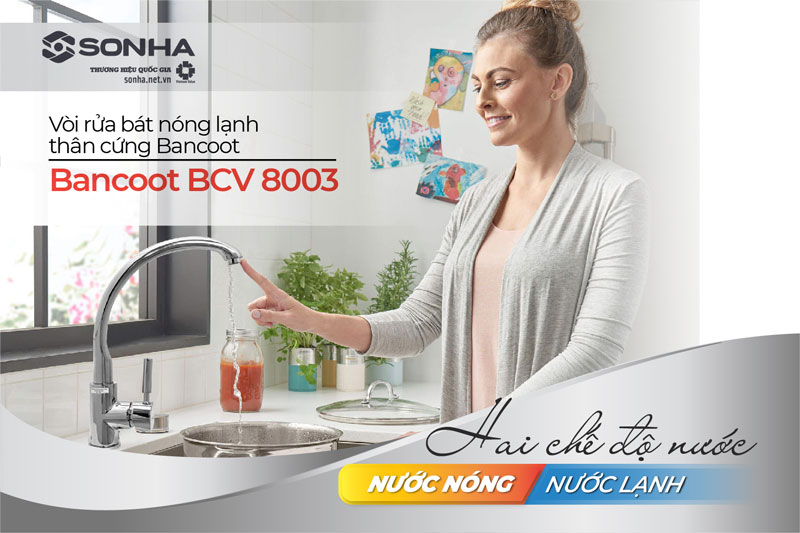 Vòi rửa chén Bancoot BCV 8003 2 chế độ nước