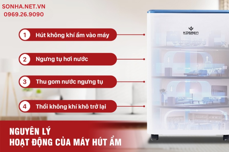 Nguyên lý hoạt động của máy hút ẩm