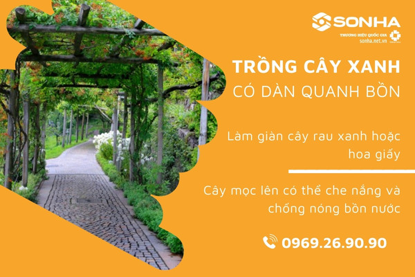 Trồng cây xanh làm mái che bồn nước chống nóng