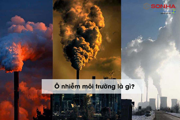 Ô Nhiễm Môi Trường Là Gì? Nguyên Nhân, Hậu Quả, Giải Pháp?