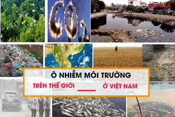 Ô nhiễm môi trường trên thế giới và Việt Nam