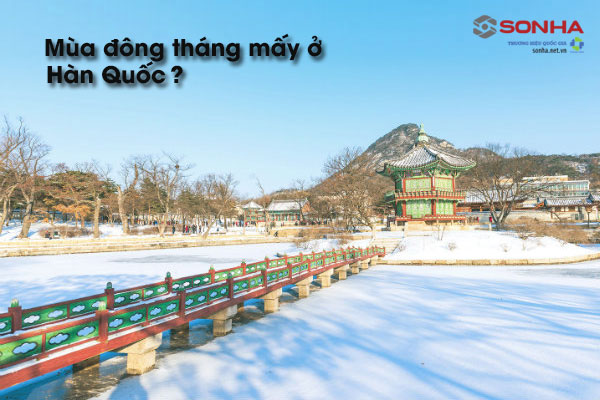 Mùa đông bắt đầu từ tháng mấy ở Hàn Quốc?