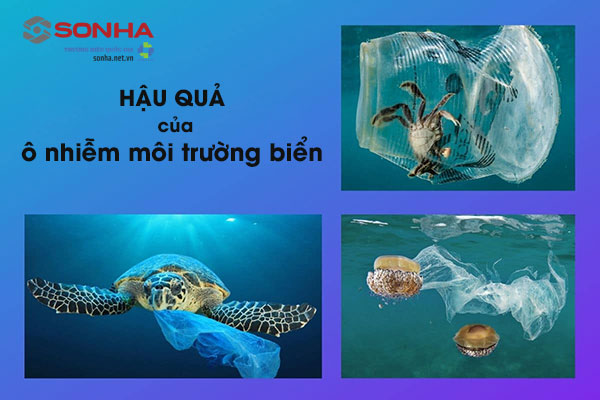 Hậu quả của ô nhiễm môi trường biển