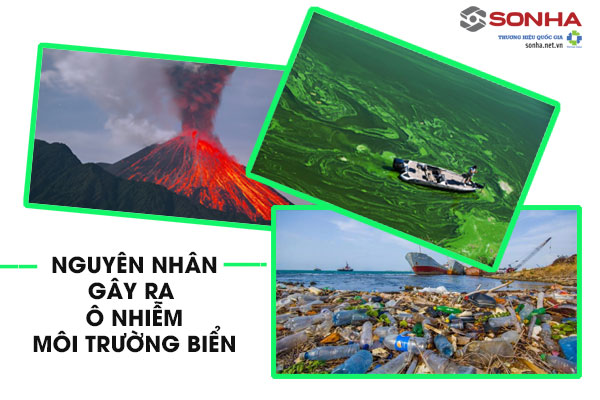 Nguyên nhân gây ra ô nhiễm môi trường biển