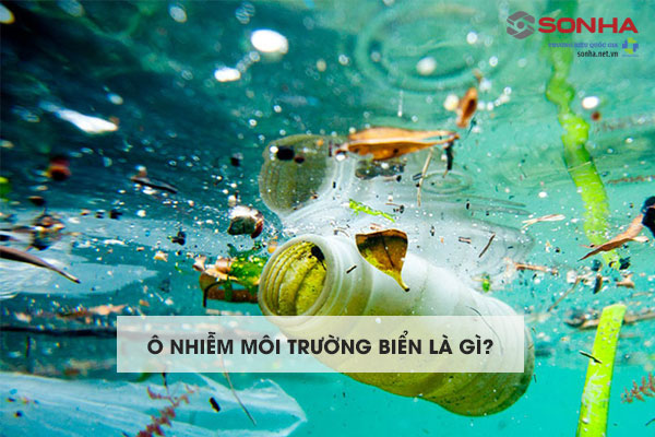 Ô nhiễm môi trường biển là gì?