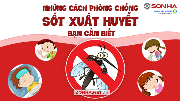 Bạn cần biết cách phòng chống sốt xuất huyết