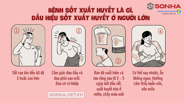 Dấu hiệu nhận biết mắc bệnh sốt xuất huyết