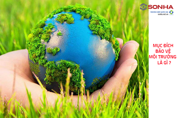 Mục đích bảo vệ môi trường là gì?
