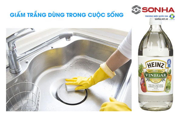 tìm hiểu giấm trắng là gì giấm trắng có tác dụng gì