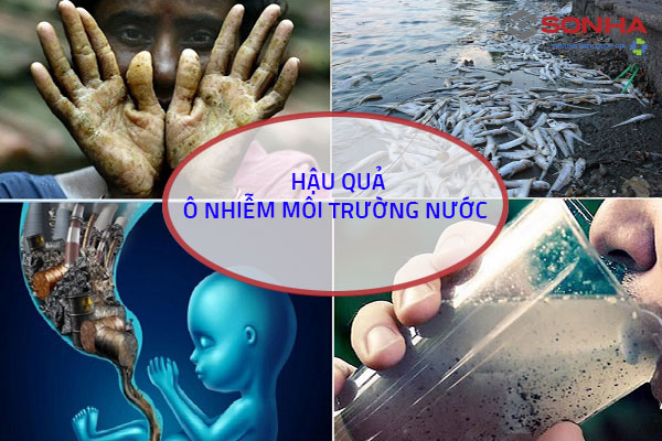 Ô nhiễm nguồn nước gây ra hậu quả gì?