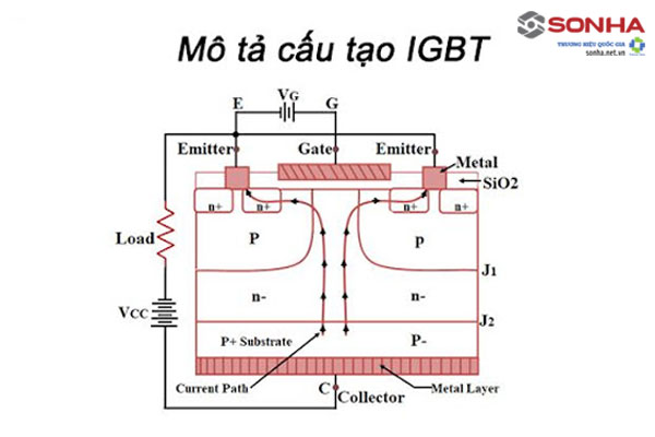 Cáu tạo IGBT