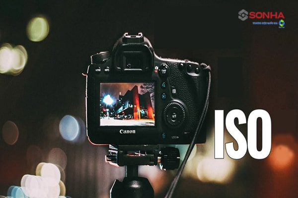 ISO là gì máy ảnh? 