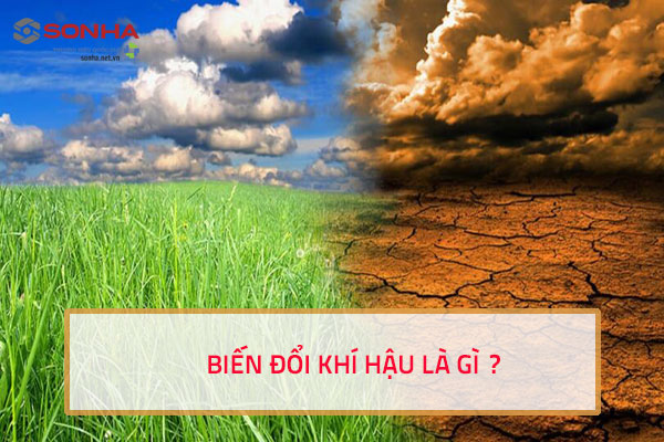 Biến đổi khí hậu là gì?