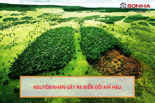 Nguyên nhân gây ra biến đổi khí hậu