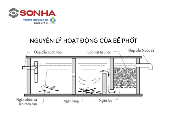 Nguyên lý hoạt động bồn tự hoại là gì?