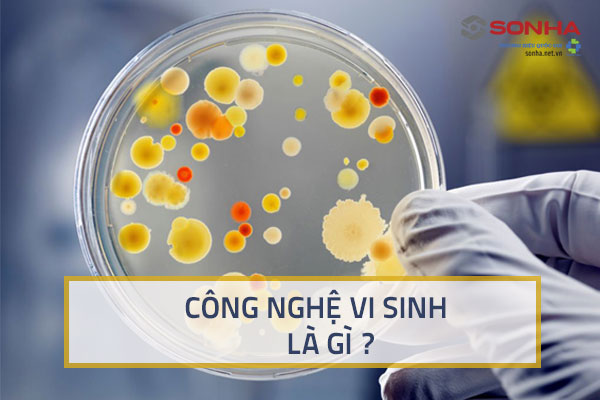 Công nghệ vi sinh là gì?