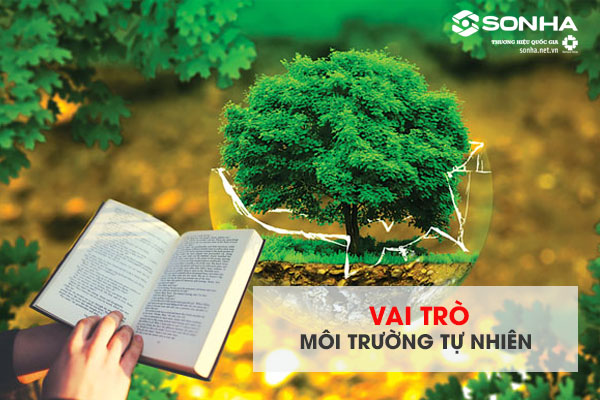 Môi trường tự nhiên có vai trò gì?