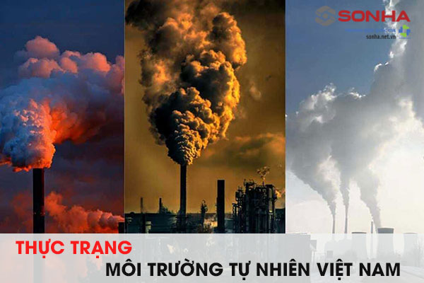 Thực trạng môi trường tự nhiên ở Việt Nam