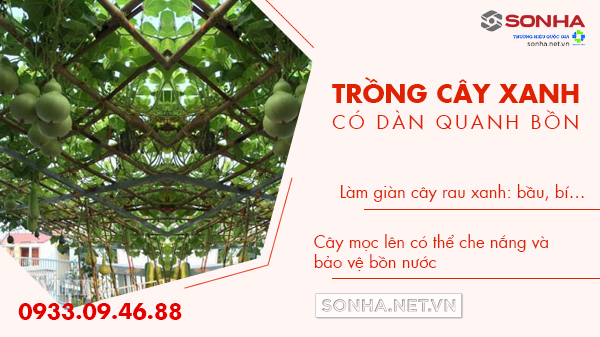 Trồng cây xanh có dàn quanh bồn