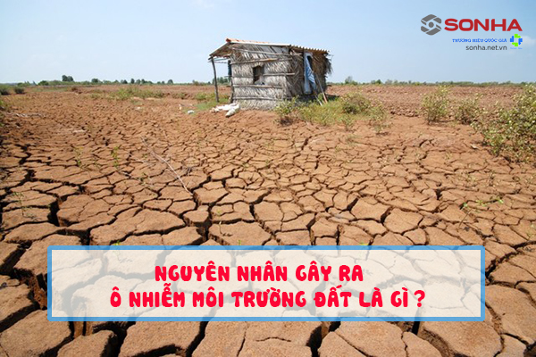 Nguyên nhân gây ra ô nhiễm môi trường đất là gì?