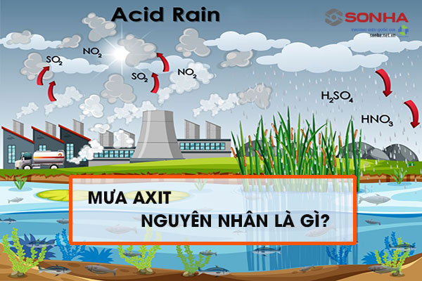 Mưa axit nguyên nhân do đâu?