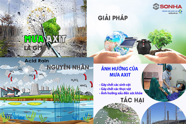 Mưa axit là gì, nguyên nhân, tác hại, giải pháp