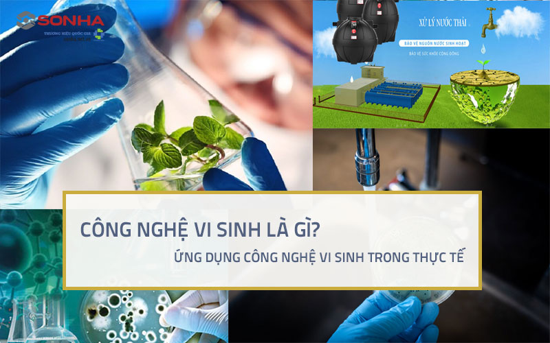 Công nghệ vi sinh là gì? Ứng dụng trong cuộc sống thế nào?