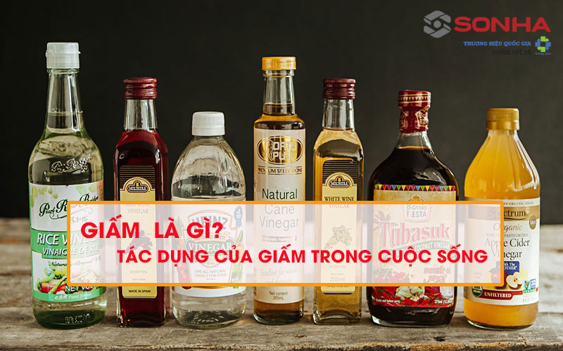 Giấm là gì? Tác dụng của giấm trong cuộc sống