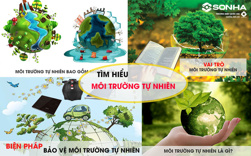 Môi trường tự nhiên là gì?Vai trò,thực trạng,biện pháp khắc phục?